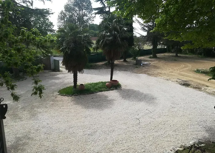 L'oliveto San Giovanni *